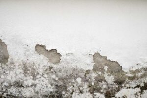 Lee más sobre el artículo Soluciones efectivas contra la humedad en paredes por lluvia