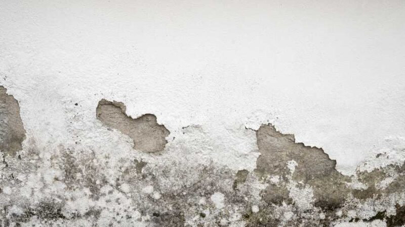 Soluciones para evitar la humedad en paredes