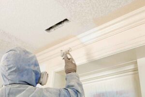 Lee más sobre el artículo Pintar con Airless: Consejos para un acabado perfecto