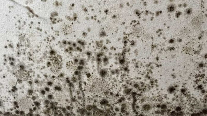 pintura antihumedad para baños en Barcelona