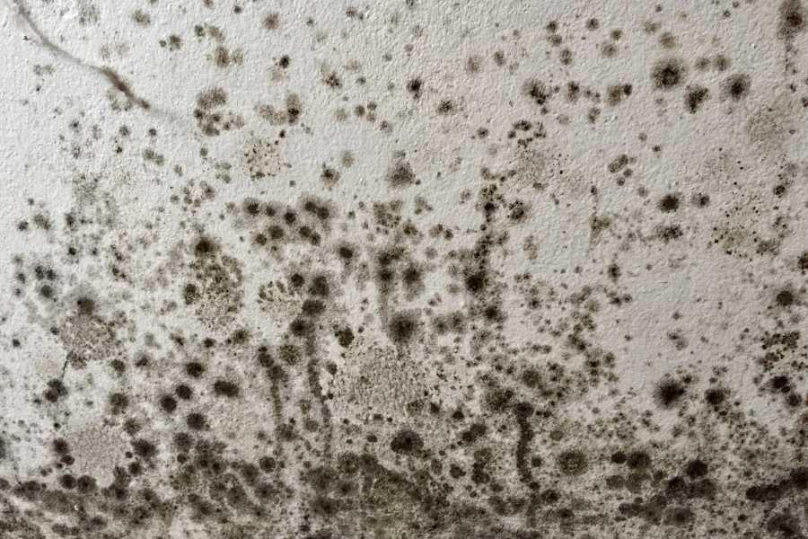 Lee más sobre el artículo Pintura antihumedad para baños en Barcelona: cómo mantener tu baño seco, limpio y libre de moho